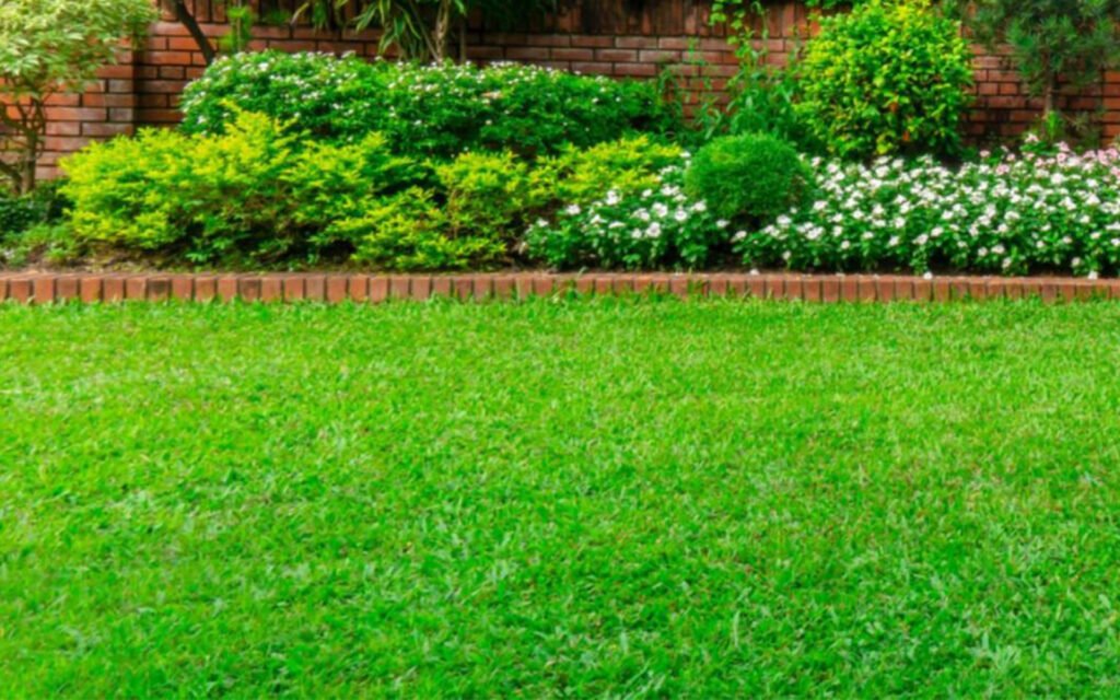 best addiction rehab india
